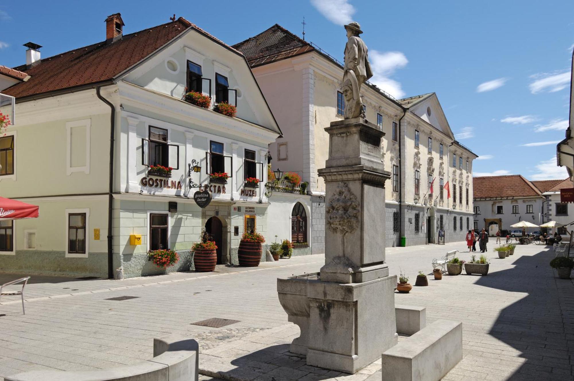 Pension Lectar Hotel Radovljica Exterior photo